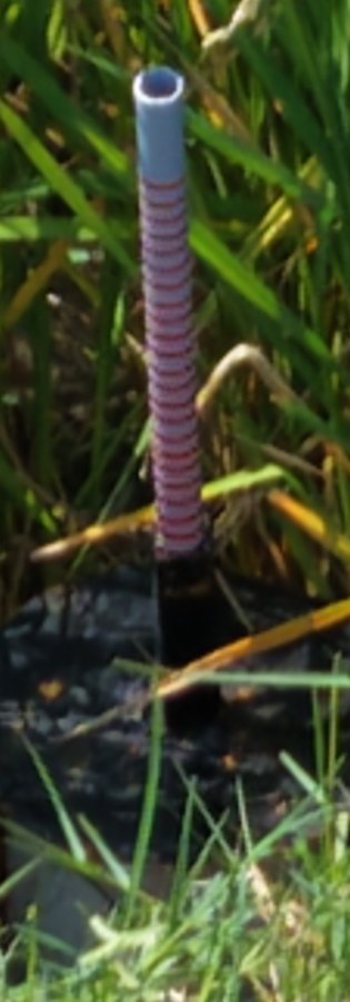 Far gauge, rings tiny and washed pink