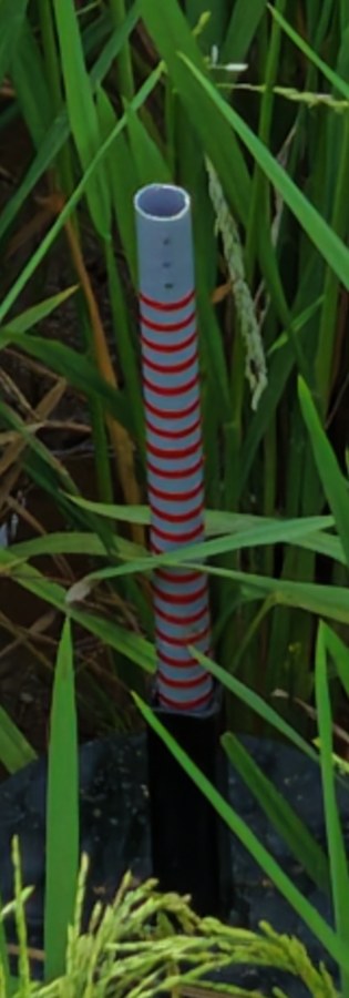 Sharp upright gauge with 20 red rings above a black sleeve